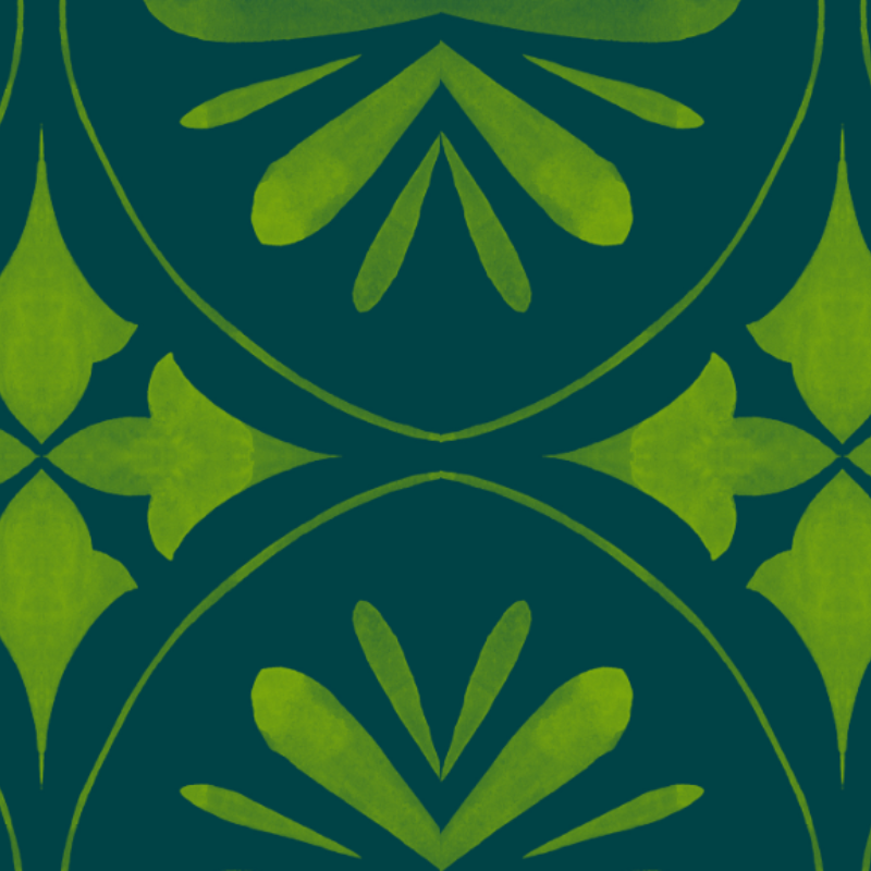 Daily Support Blends