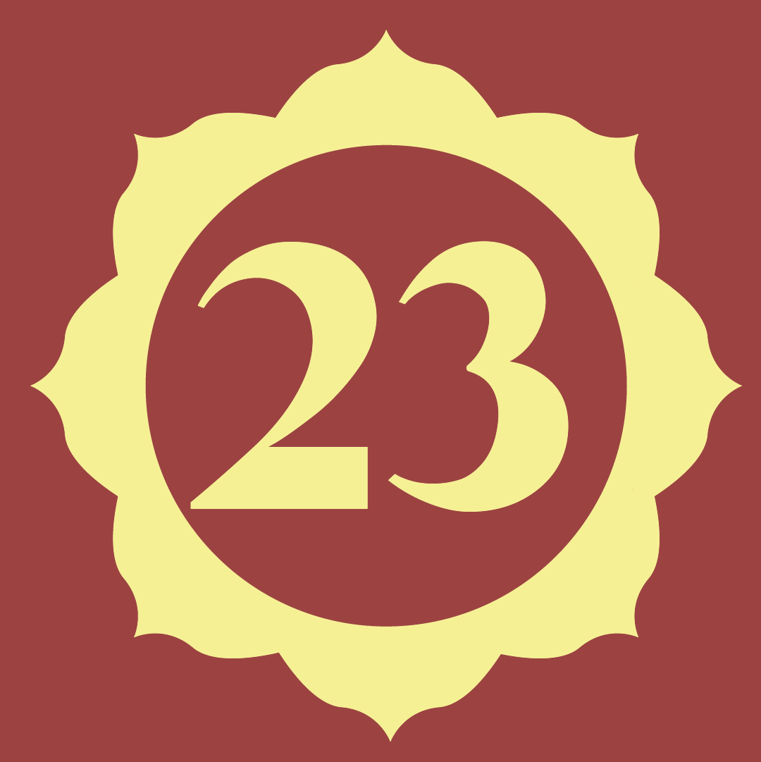 23