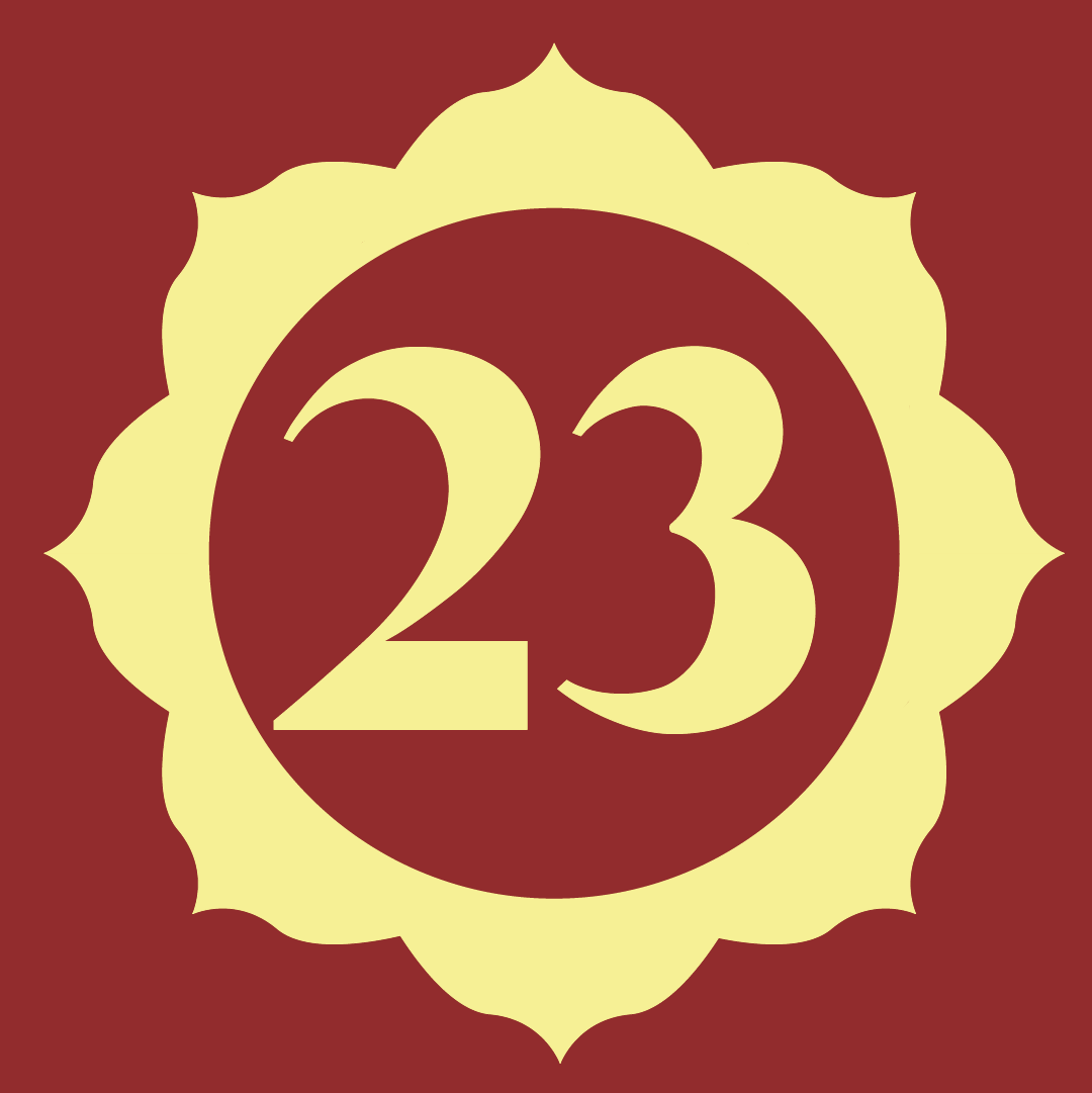 23
