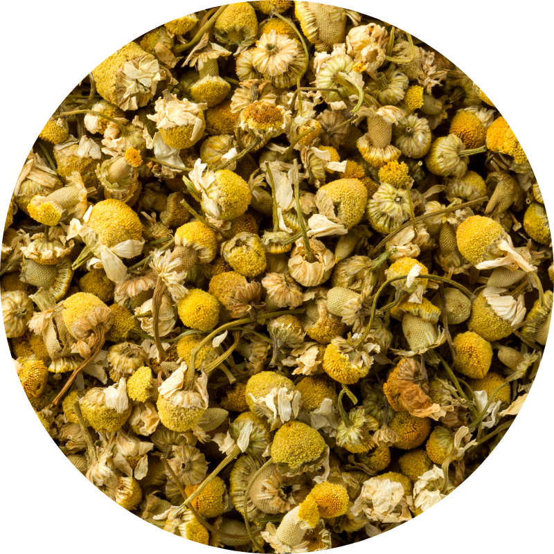 Chamomile